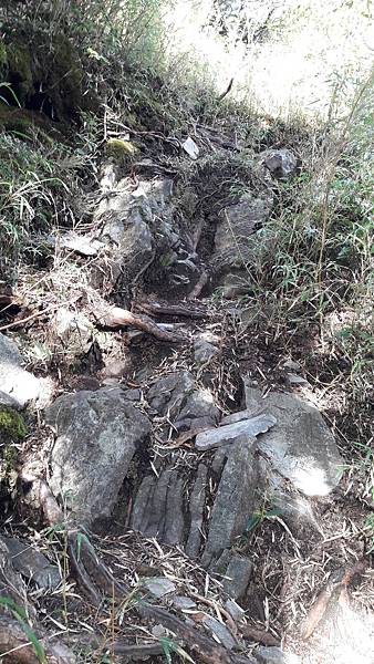 20210507_073125.jpg 20210507_073125.jpg