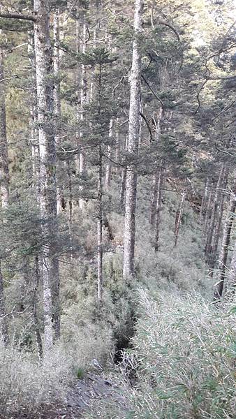 20210507_063144.jpg 20210507_063144.jpg