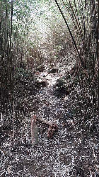 20210507_103436.jpg 20210507_103436.jpg