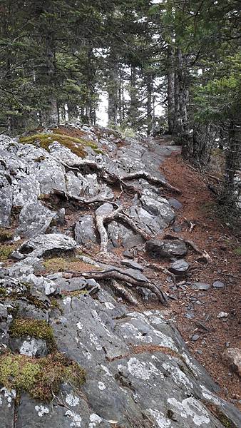 20210507_120711.jpg 20210507_120711.jpg