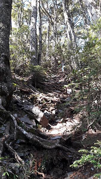 20210507_082241.jpg 20210507_082241.jpg