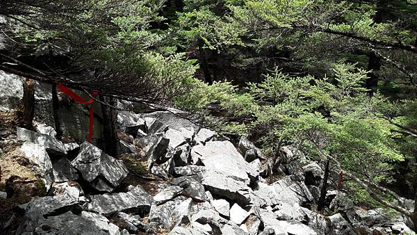 20210507_123324.jpg 20210507_123324.jpg