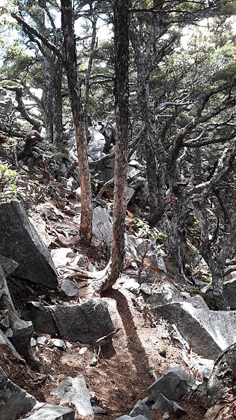 20210507_124826.jpg 20210507_124826.jpg