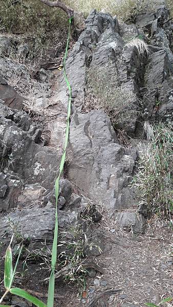 20210507_164332.jpg 20210507_164332.jpg