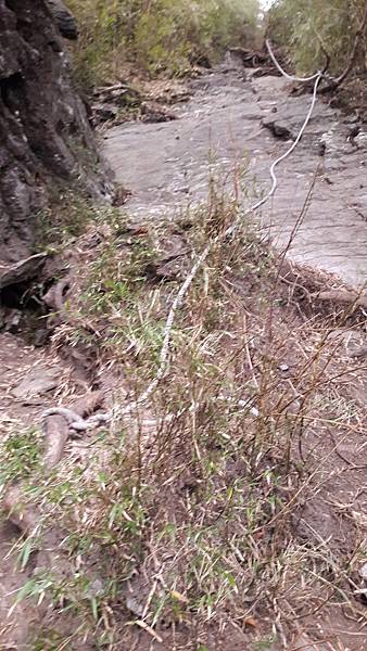 20210507_180923.jpg 20210507_180923.jpg