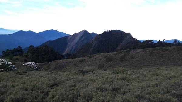 20210508_062607.jpg 20210508_062607.jpg