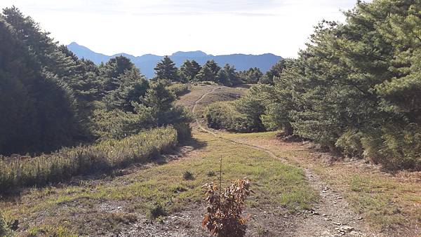 20210508_072344.jpg 20210508_072344.jpg