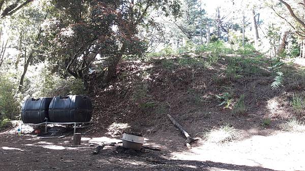 20210508_085414.jpg 20210508_085414.jpg