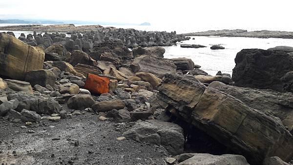 20210607_141956.jpg 20210607_141956.jpg