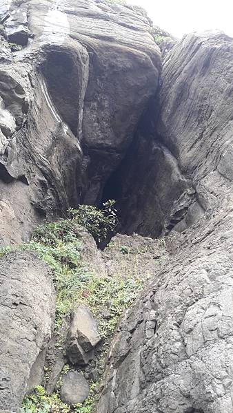 20210607_141941.jpg 20210607_141941.jpg