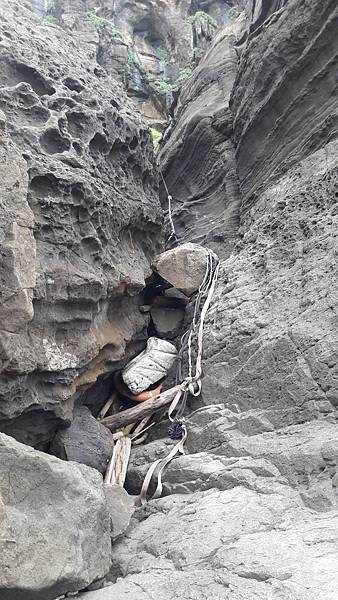 20210607_143355.jpg 20210607_143355.jpg