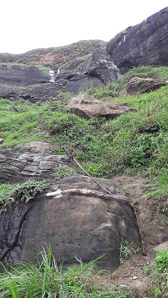 20210607_143749.jpg 20210607_143749.jpg