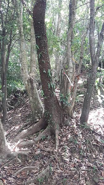 20210705_125720.jpg 20210705_125720.jpg