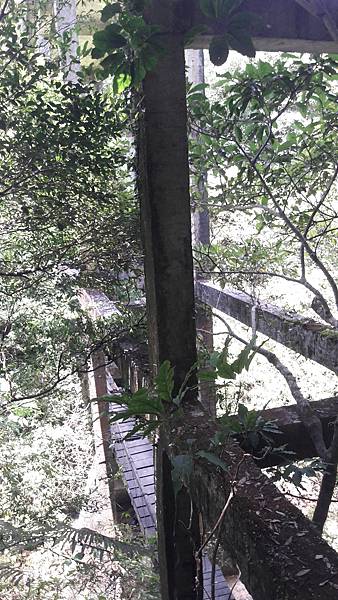 20210705_123426.jpg 20210705_123426.jpg