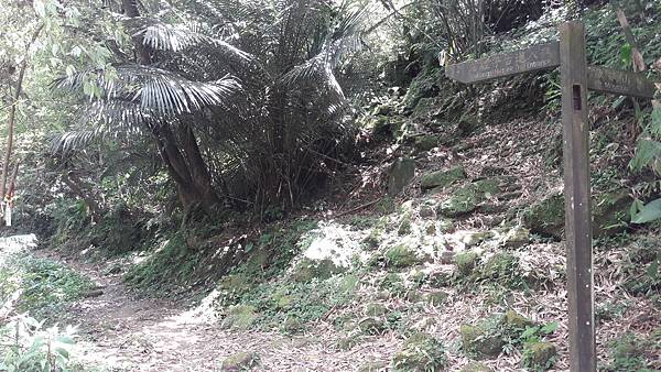 20210705_123710.jpg 20210705_123710.jpg