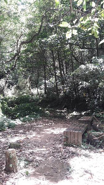 20210705_125403.jpg 20210705_125403.jpg