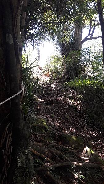 20210705_130426.jpg 20210705_130426.jpg