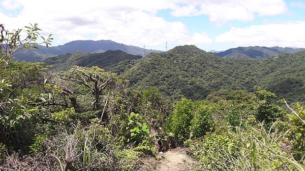 20210705_130556.jpg 20210705_130556.jpg