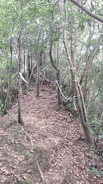 20210705_132325.jpg 20210705_132325.jpg