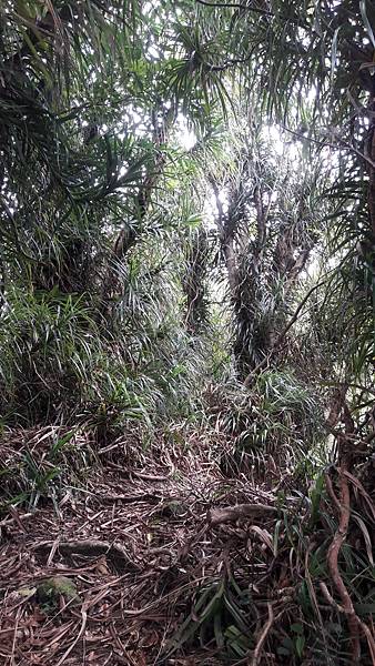 20210705_132816.jpg 20210705_132816.jpg