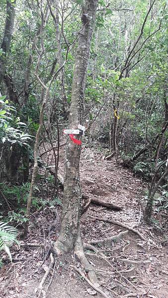 20210705_133200.jpg 20210705_133200.jpg