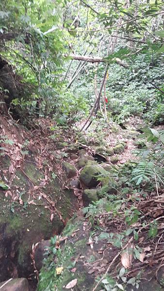 20210705_140800.jpg 20210705_140800.jpg