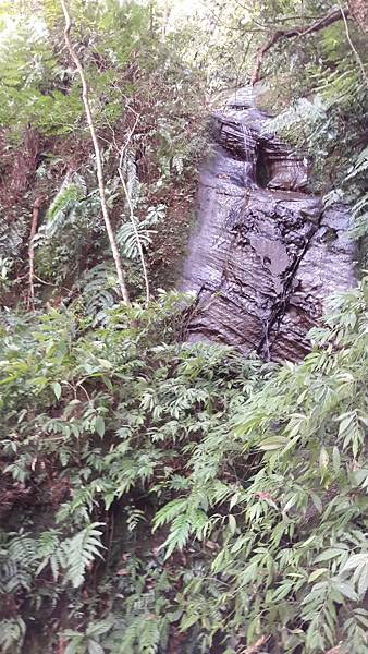 20210705_142922.jpg 20210705_142922.jpg