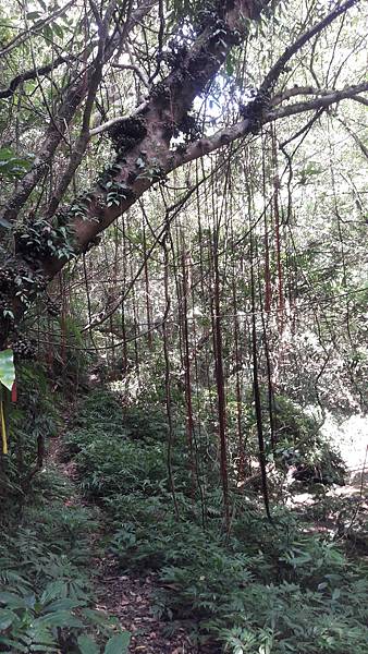 20210705_143816.jpg 20210705_143816.jpg