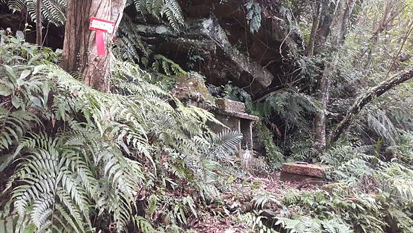 20210705_145314.jpg 20210705_145314.jpg