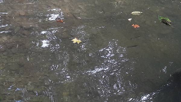 20210705_150654.jpg 20210705_150654.jpg