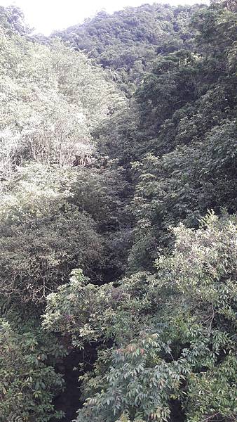 20210705_154227.jpg 20210705_154227.jpg