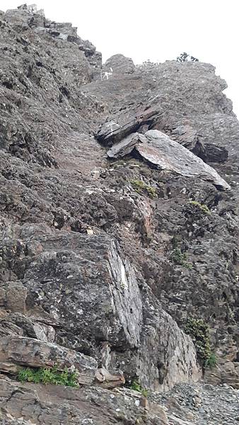 20210908_054131.jpg 20210908_054131.jpg