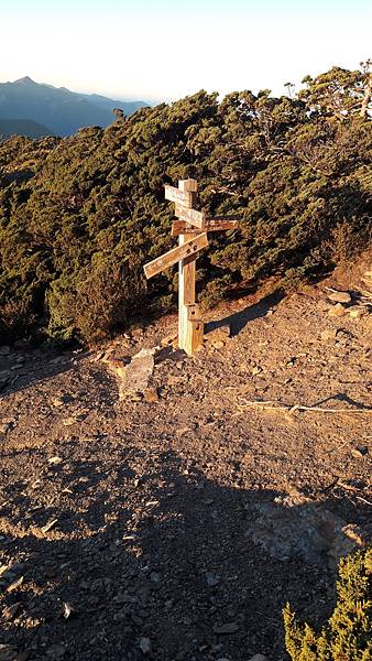 20210908_054858.jpg 20210908_054858.jpg