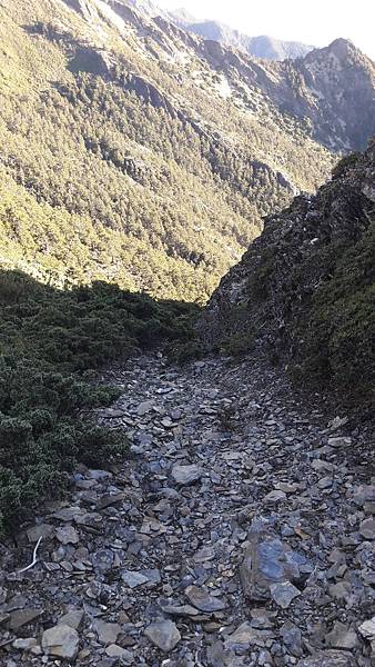 20210908_065342.jpg 20210908_065342.jpg