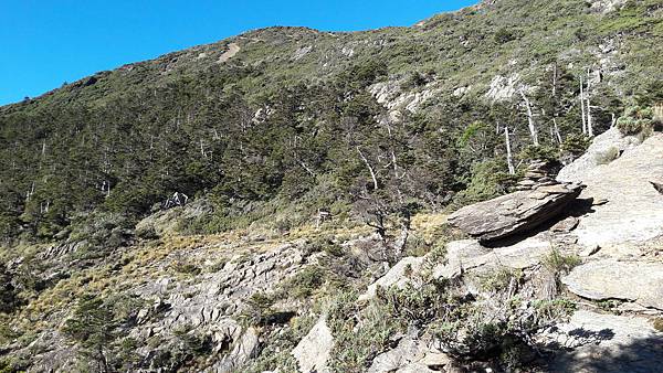 20210908_073456.jpg 20210908_073456.jpg