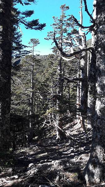 20210908_074240.jpg 20210908_074240.jpg