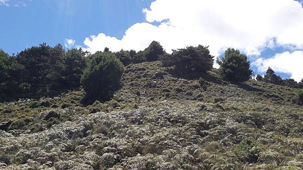 20210908_130523.jpg 20210908_130523.jpg