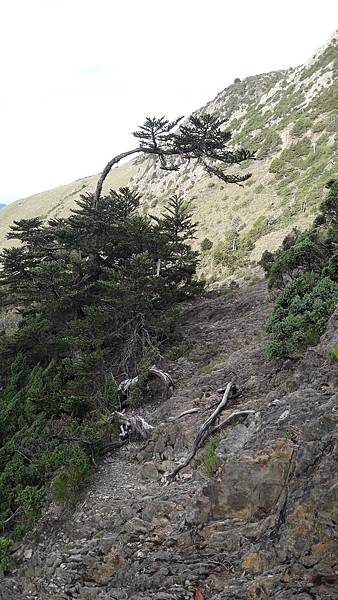 20210909_071751.jpg 20210909_071751.jpg