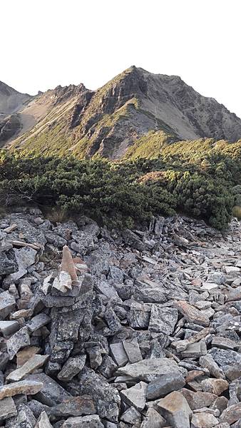 20210909_055811.jpg 20210909_055811.jpg