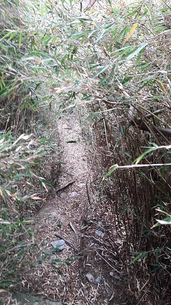 20210909_072804.jpg 20210909_072804.jpg