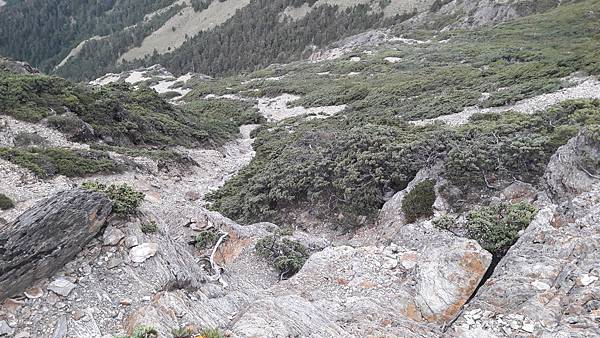 20210909_062921.jpg 20210909_062921.jpg