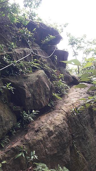 20210825_151419.jpg 20210825_151419.jpg