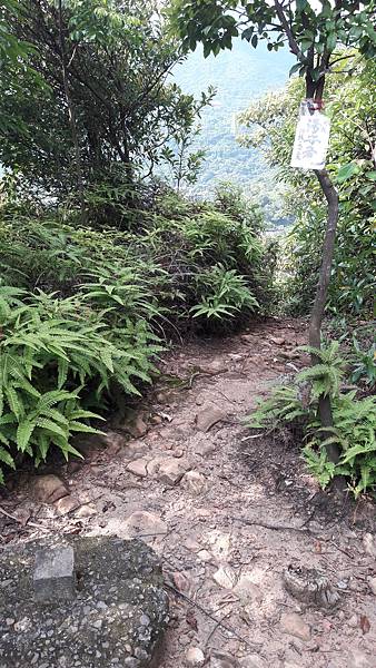 20210825_151543.jpg 20210825_151543.jpg