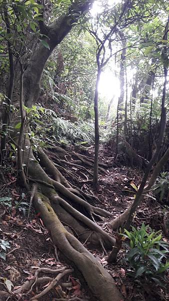 20210825_151216.jpg 20210825_151216.jpg