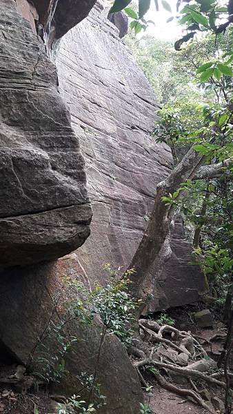 20210825_150657.jpg 20210825_150657.jpg