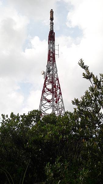 20210825_152949.jpg 20210825_152949.jpg