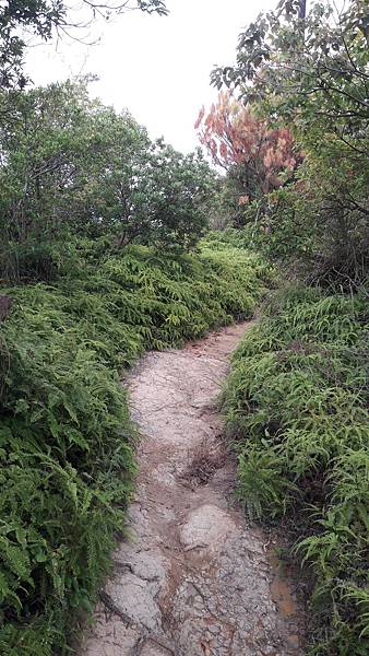 20210825_153605.jpg 20210825_153605.jpg