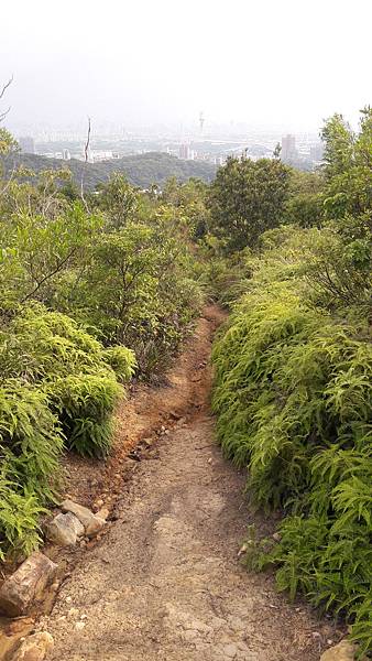 20210825_154224.jpg 20210825_154224.jpg