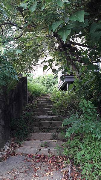 20210825_161149.jpg 20210825_161149.jpg