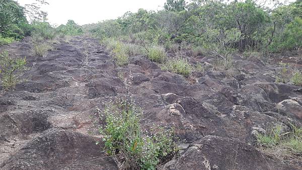 20210825_162615.jpg 20210825_162615.jpg